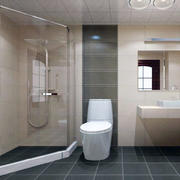 2平方卫生间带洗澡装修效果图